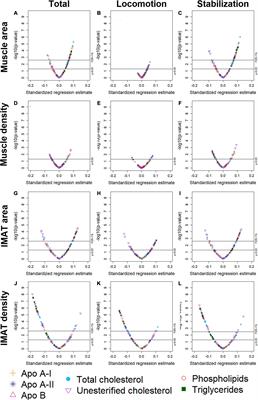 Associations Between Lipoprotein Subfractions and Area and Density of Abdominal Muscle and Intermuscular Adipose Tissue: The Multi-Ethnic Study of Atherosclerosis